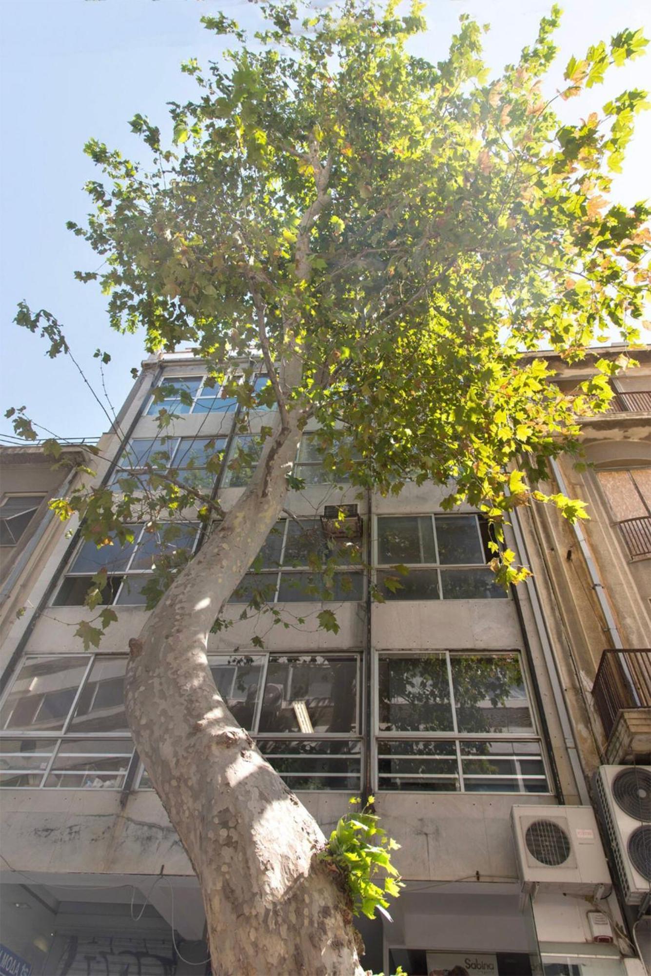 Am16 Suites Athen Exterior foto